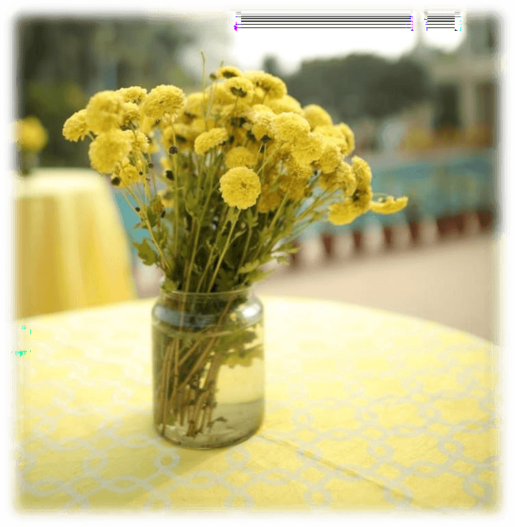 India Ki Baraat featured work 2